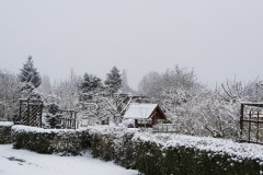 Winter 3